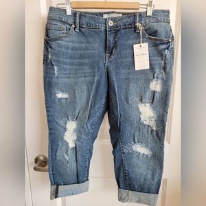 Brand New Torrid Capris  Sz 14